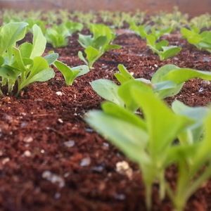 Meet your Posher, Sheri